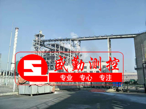 巴基斯坦皮帶秤現(xiàn)場(chǎng) 巴基斯坦皮帶秤現(xiàn)場(chǎng)