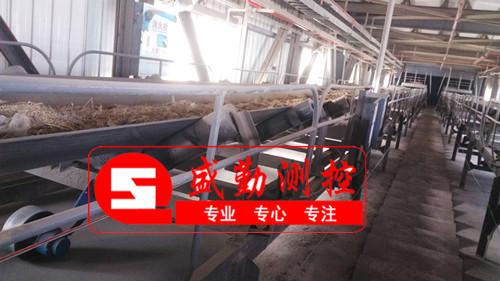 河南皮帶秤現(xiàn)場(chǎng)(生物質(zhì)) 河南皮帶秤現(xiàn)場(chǎng)(生物質(zhì))