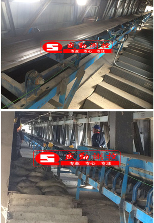 高夫菏澤生物質(zhì)皮帶秤2021-5.jpg 高夫菏澤生物質(zhì)皮帶秤2021-5.jpg