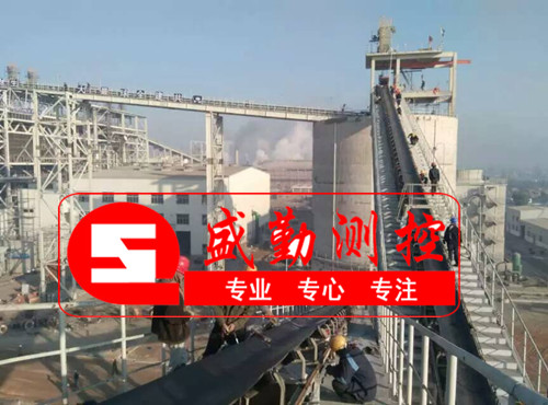 �ͻ�˹̹Ƥ���ӬF(xi��n)��(ch��ng)